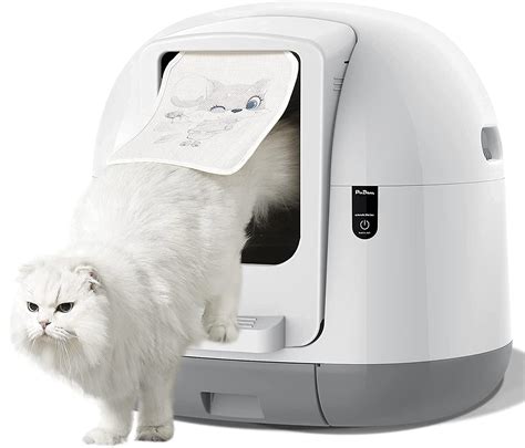 best electric cat litter box 2017|cheapest automatic cat litter box.